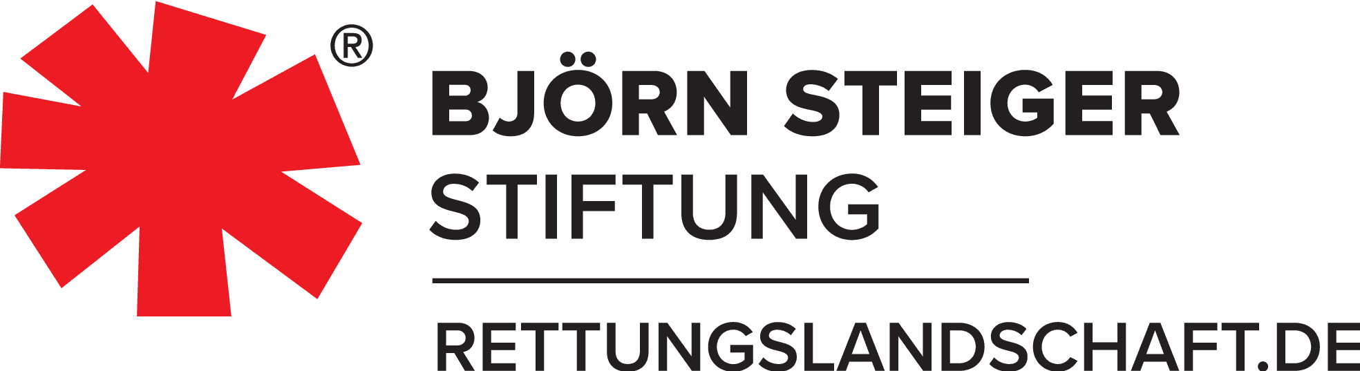 Logo Björn Steiger Stiftung, rettungslandschaft.de