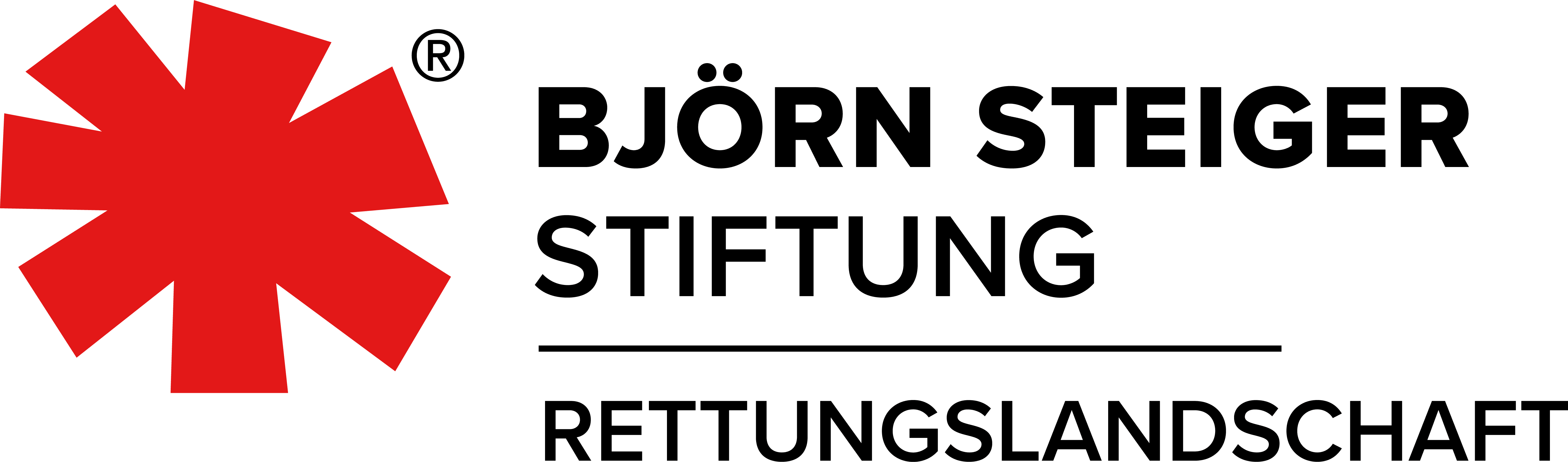 Logo Rettungslandschaft, Björn Steiger Stiftung
